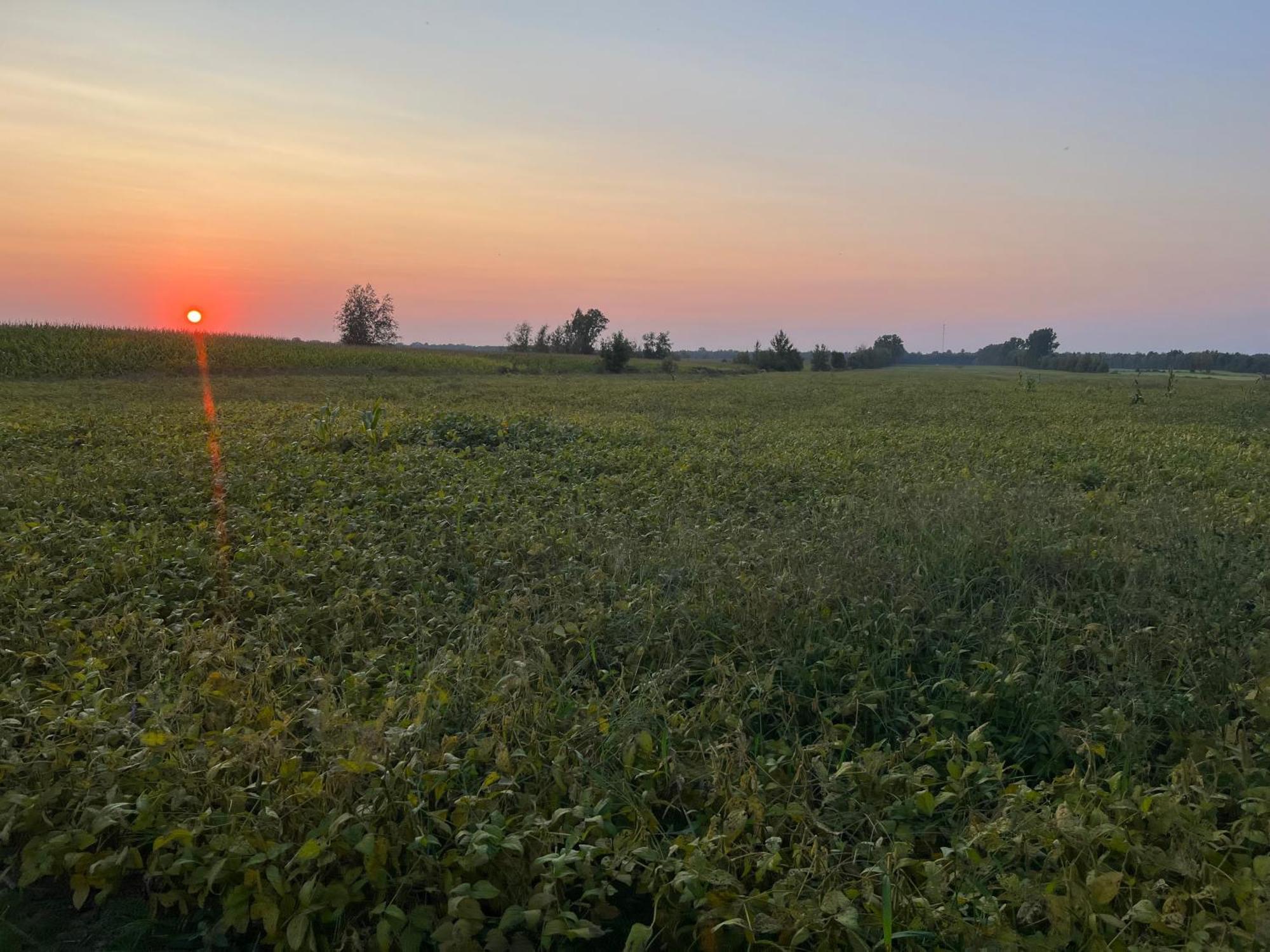 Appartement La Ruee Vers L'Orge à Trois-Rivières Extérieur photo